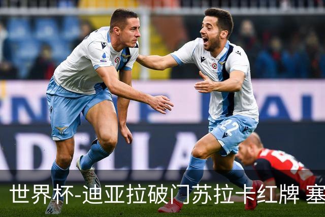 世界杯-迪亚拉破门苏拉卡红牌 塞内加尔半场1-0伊拉克