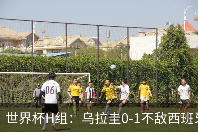 世界杯H组：乌拉圭0-1不敌西班牙 佛得角0-0战平沙特阿拉伯